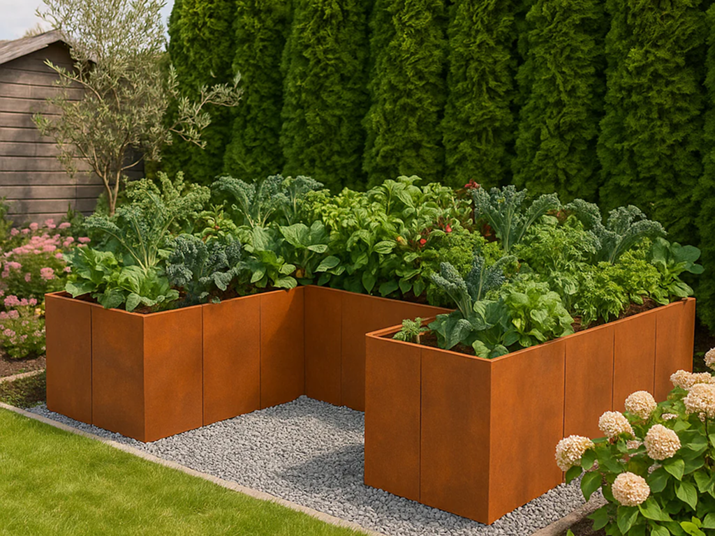 U-förmiges Hochbeet aus Cortenstahl mit Gemüse im Garten