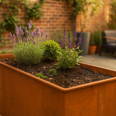 Pflanzkübel aus Cortenstahl mit Lavendel und Stauden